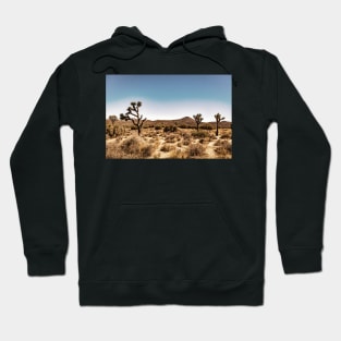 Joshua Tree National Park, California Hoodie